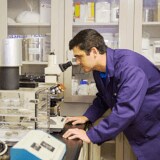 Certificate of Analysis laboratory process