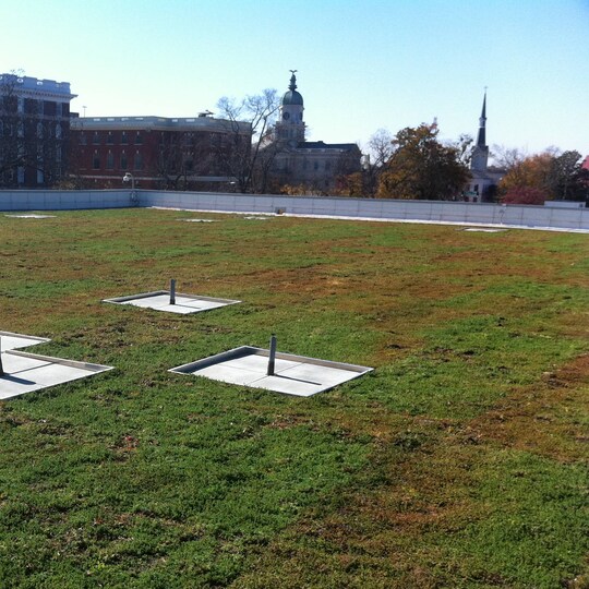 athens-project-green