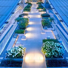 DLCC-Green-SBS-Teranap-Parapro-Pavers-07