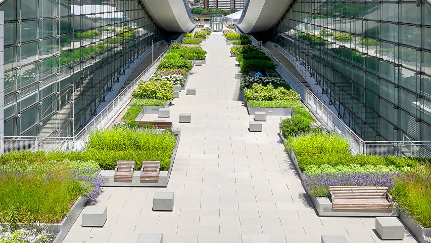 DLCC-Green-SBS-Teranap-Parapro-Pavers-34