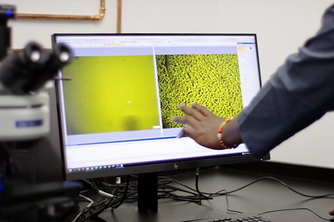 Responsible Roof Maintenance - Certificate of Analysis