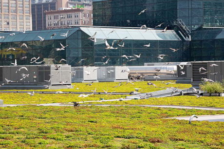 Sustainability Solutions - Javits wildlife