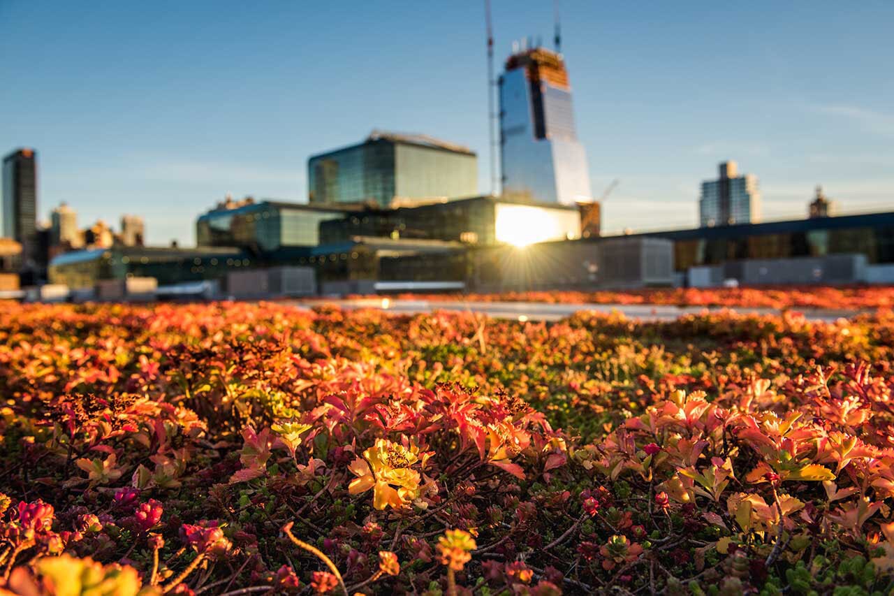 Jacob K. Javits Convention Center