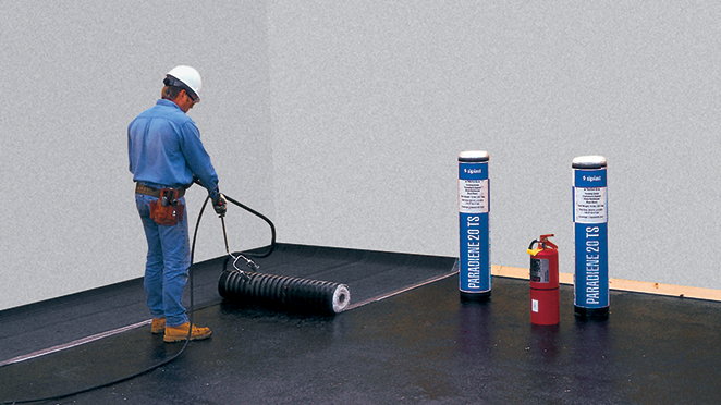 Paradiene 20, Torch-Applied Masthead