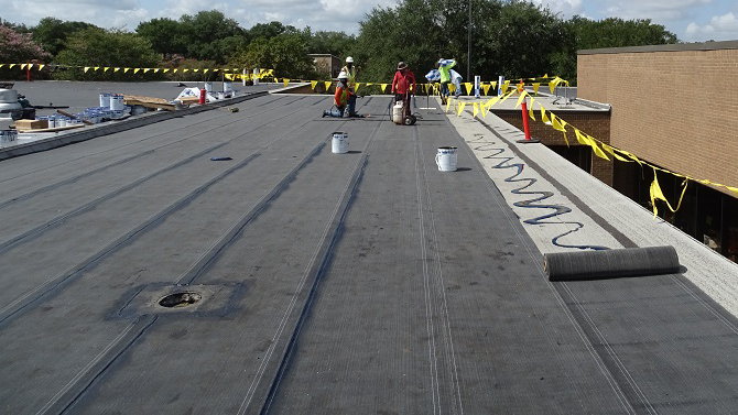 Paradiene Cold Adhesive Masthead