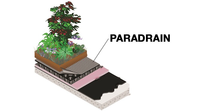 Paradrain 3