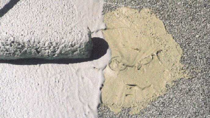 Pro Paste Accessories 3