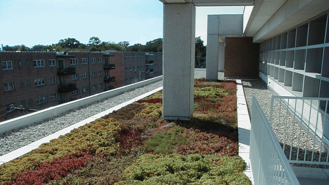 Teranap and green roof on Skokie Library