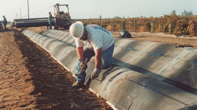 Teranap, Loose-Laid Masthead