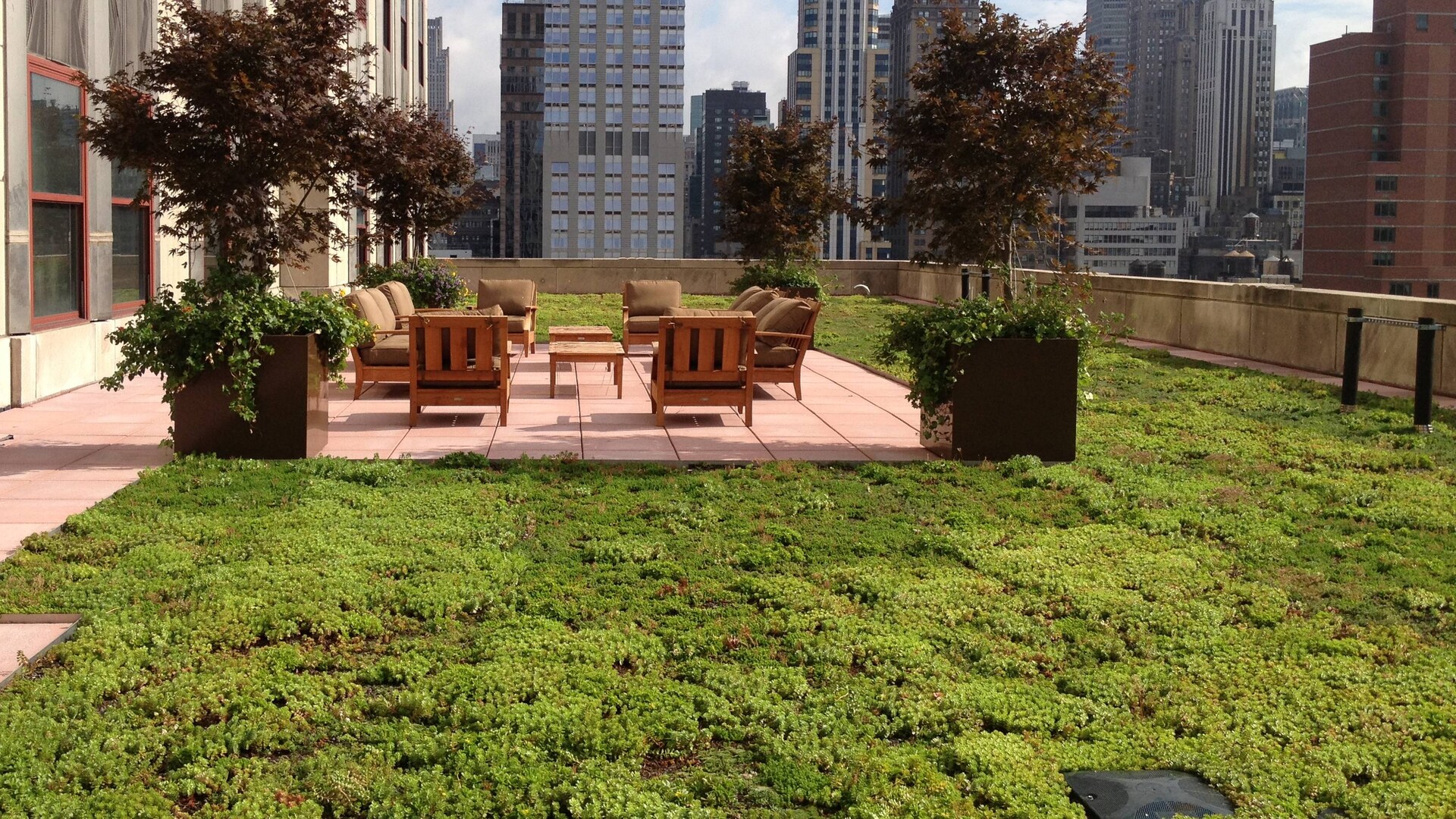 Empire State Vegetated-green